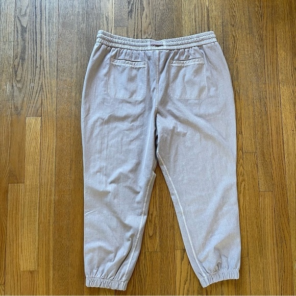 Athleta Farallon Jogger Dusty Rose Pink 531090 Size 22 NWOT - Picture 8 of 9